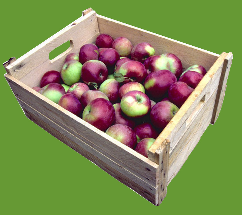 apfelkiste2